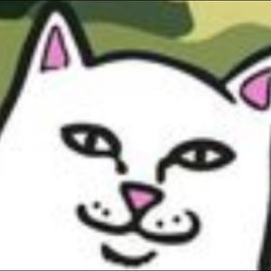 Meet your Posher, Riley